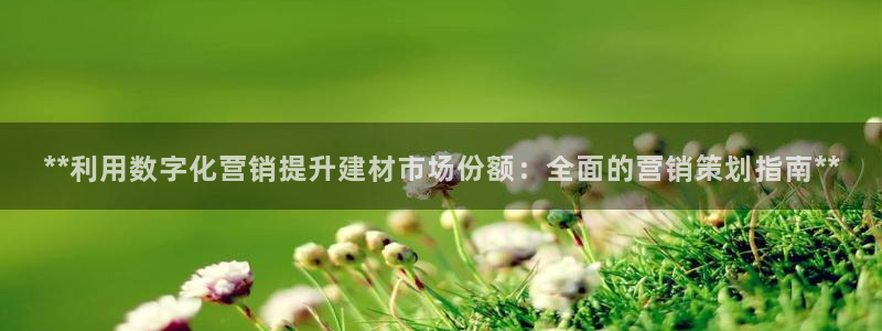 9965必赢棋官方网站怎么样