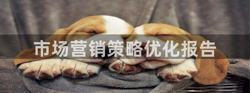 9965必赢游戏app大全