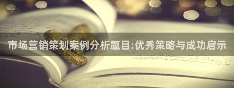 必赢科技北京有限公司