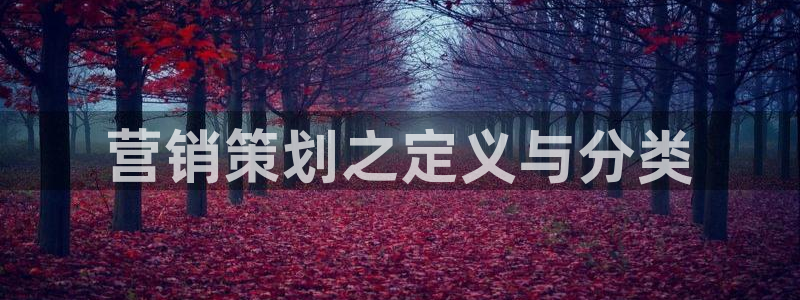 必赢网站打不开