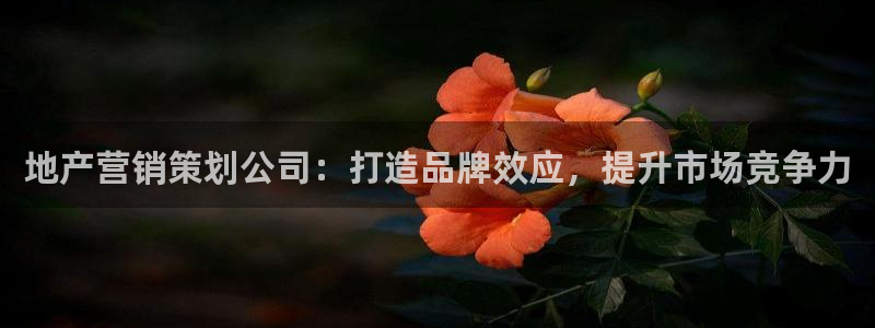 必赢app能挣钱吗
