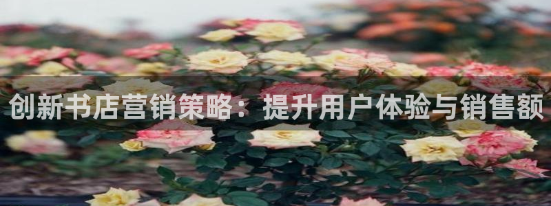 必赢8888