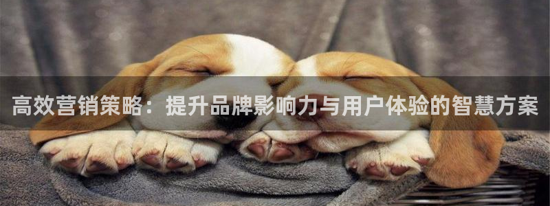 必赢棋脾9655app下载