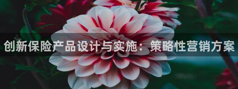 必赢565net官网