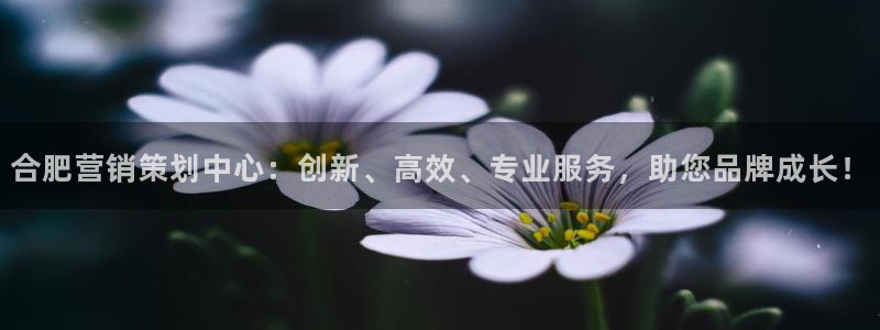 必赢国际437a