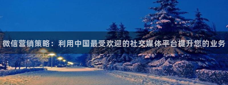 必赢8111e