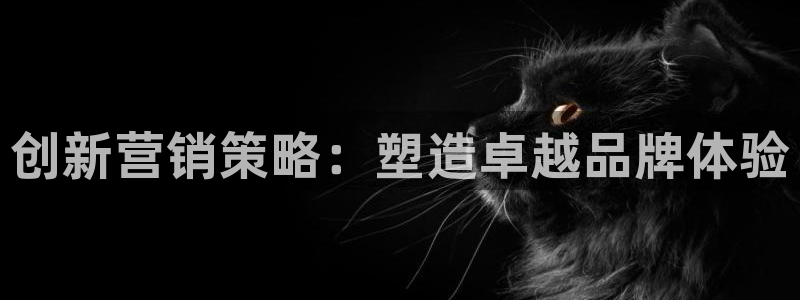 必赢手机版