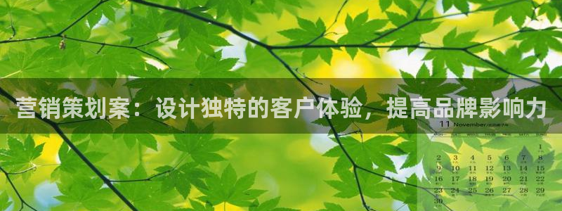 必赢网站