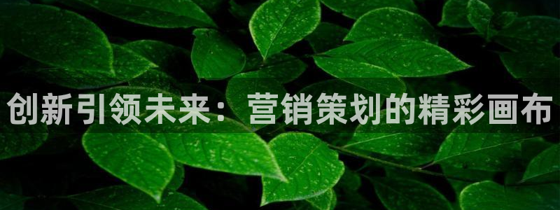 必赢手机app下载