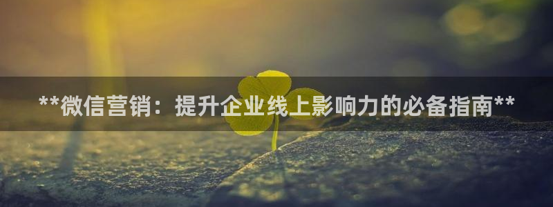必赢手机app下载 最新版本