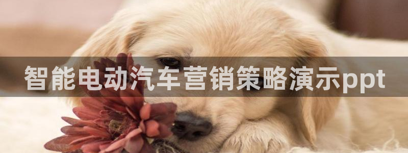 必赢这个平台怎么样知乎