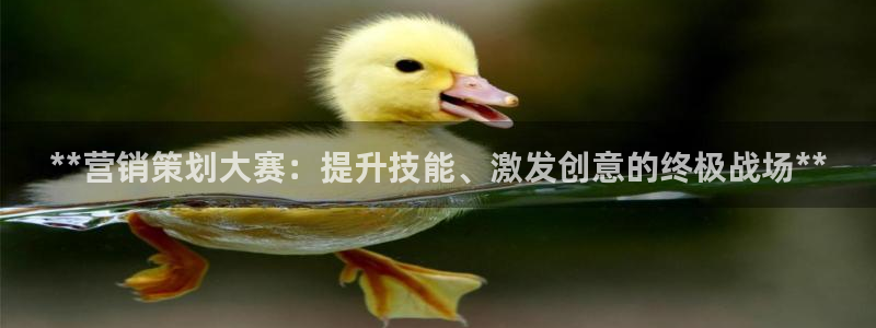 9965必赢游戏app