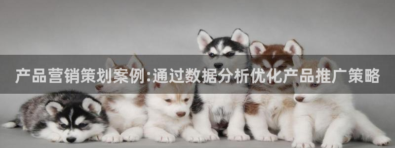必赢棋盘app下载官网