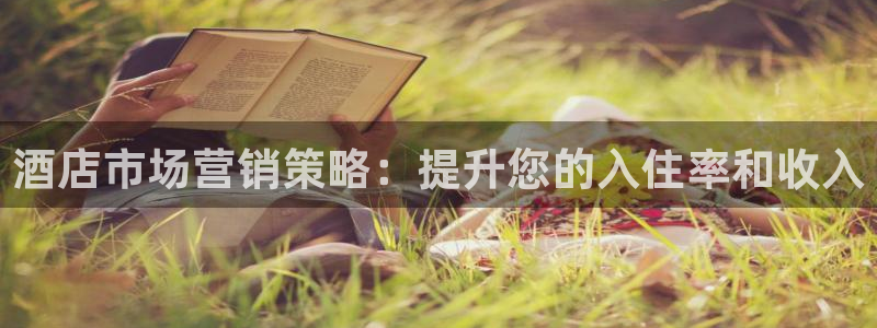 必赢平台怎么样