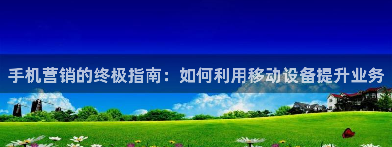 必赢手机app下载安装