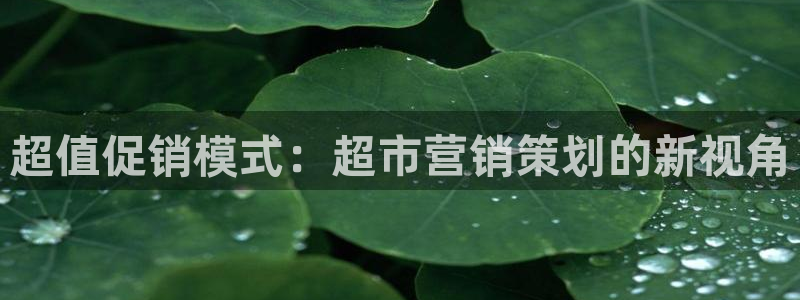 必赢手机版