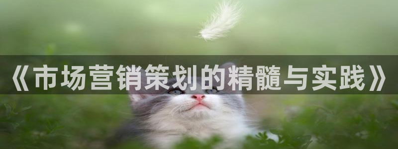 必赢最新