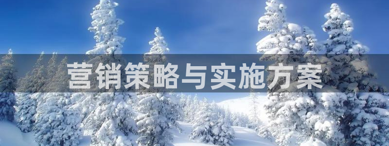 必赢官网