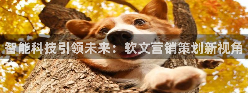 必赢8111e