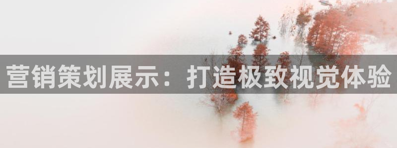 必赢公司是怎样的一家企业