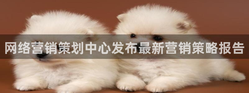 必赢科技