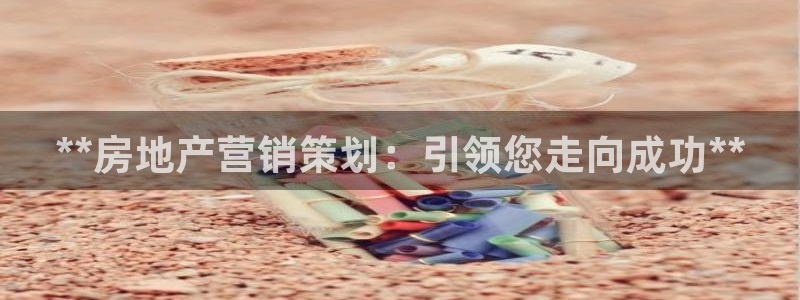 必赢手机app下载安装