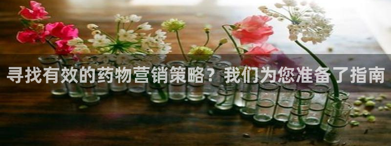必赢亚赢网站官网下载安装
