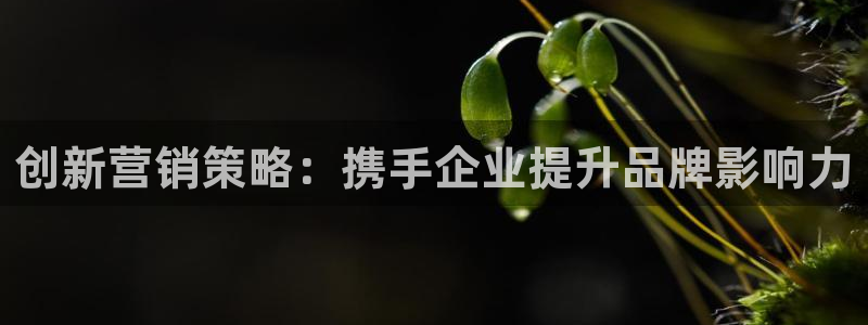 9965必赢游戏app大全