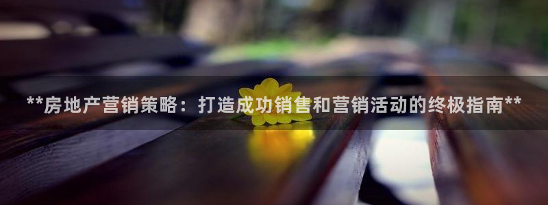 必赢手机app下载官网