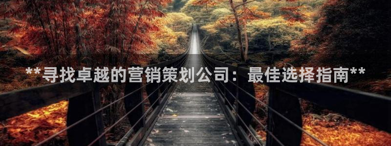 必赢集团