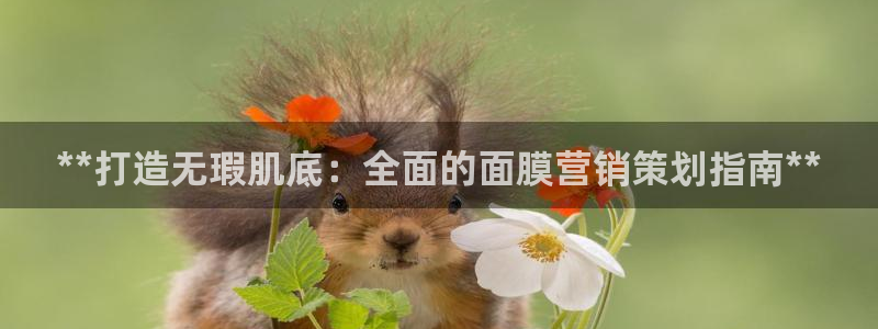 必赢活动安卓下载app