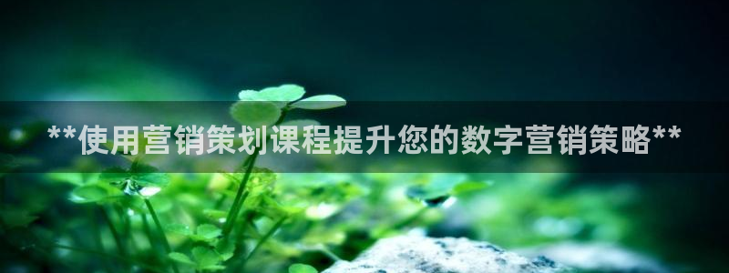 必赢官网网站入口