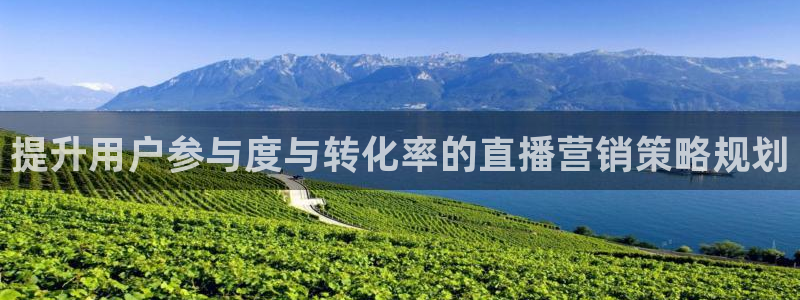 必赢国际怎么样