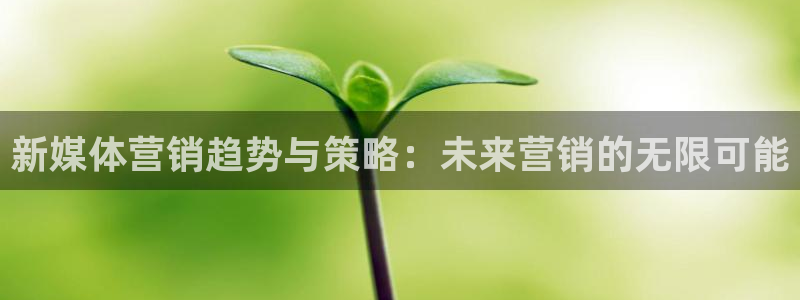 必赢国际软件下载