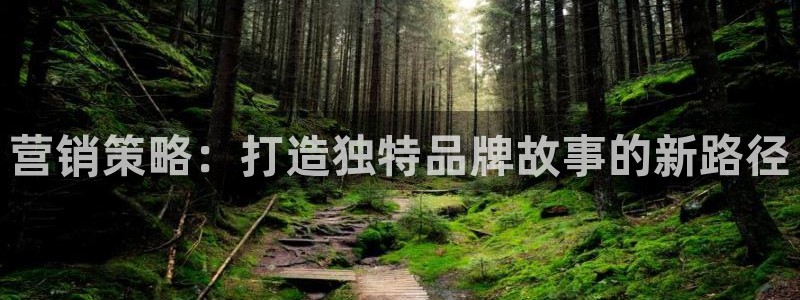 必赢客安卓版