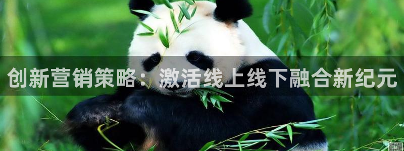 必赢3003+会员账号