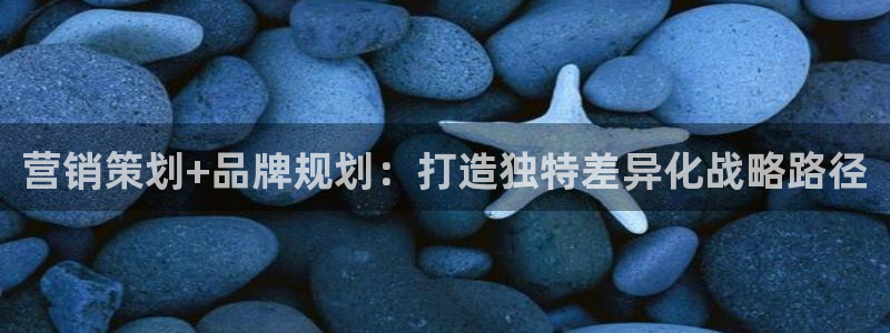 必赢客官方
