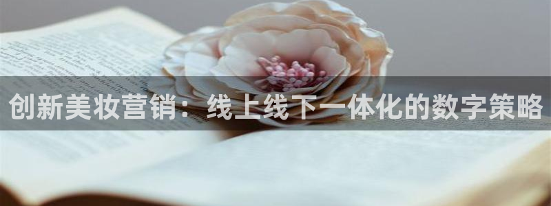 必赢手机app下载 最新版本