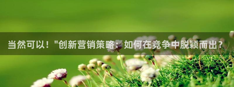 必赢7231
