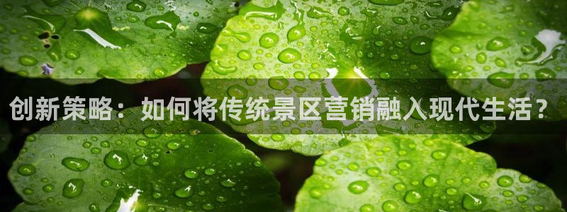 95必赢网址多少