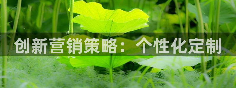 必赢官网网站入口网址