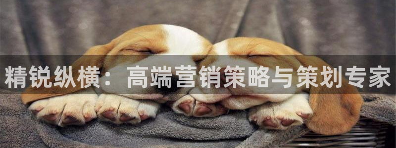 必赢集团网站
