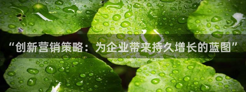 必赢网址谁知道