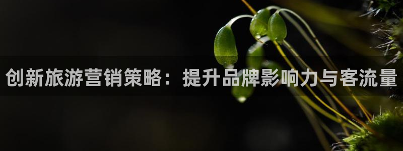 必赢官网