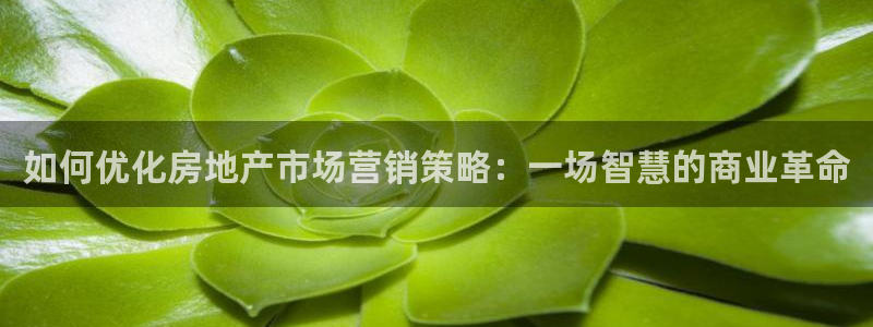 必赢官网入口下载app