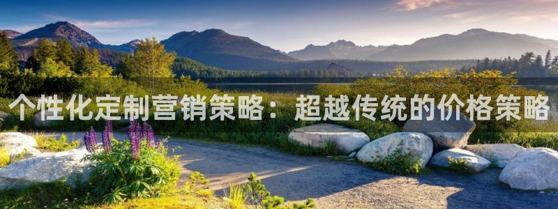必赢3003网官：个性化定制营