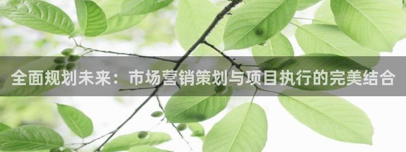必赢这个平台怎么样：全面规划未