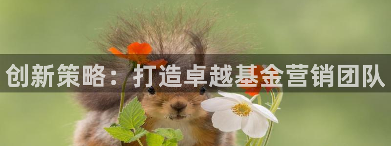 必赢7321取不出钱：创新策略