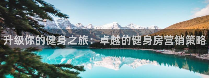 9965必赢游戏版本