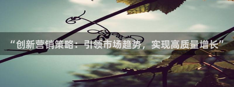 必赢最新网页